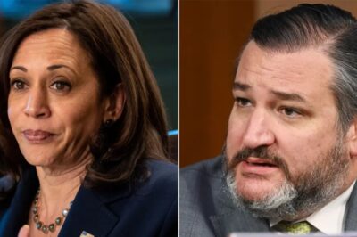 Sen Ted Cruz Exposes Kamala Secret — Gives Trump Great Advice