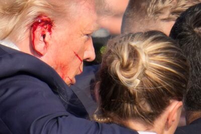 New York Magazine reporter who inspected Trump’s ear weeks after assassination attempt reveals in detail what she saw