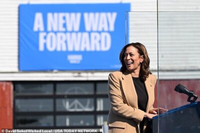 Kamala Harris finally uploads a policy page to her website 50 days after Biden dropped out of the race: Here’s what it says