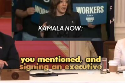 Watch : Shame on you, Kamala! Once again, she’s stolen Trump’s achievements and put them into her campaign pitch in Michigan.