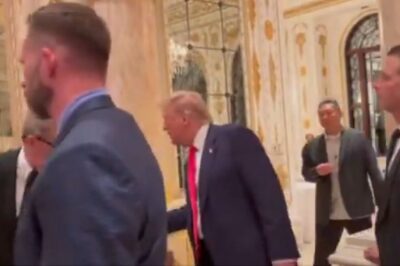 Watch : The video of Trump’s amazing action is going viral, and 100% of Americans will know who to choose after witnessing this moment!