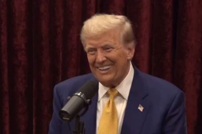 The Best 2 Minutes of the Rogan-Trump Podcast: Pure Comedy Gold