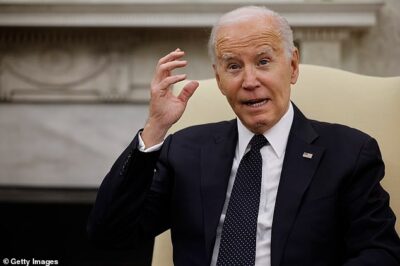 Inside the insidious Democratic plot to keep Biden in office using harassment tactics out of a spy novel