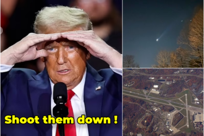 Trump demands mystery drones to be eliminated as Americans flood hotlines to report swarms of devices over US military bases – amid fears they’re being sent from a ‘hostile mothership’ offshore