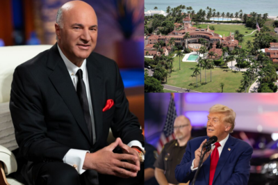 Kevin O’Leary explains why CEOs are flocking to Mar-a-Lago ‘to suck up to Trump’