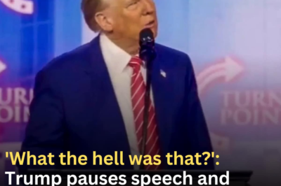 Donald Trump trolled as he pauses AmericaFest speech after getting distracted by ‘strange sound’