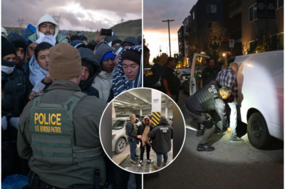 Trump’s ICE racks up hundreds of arrests, including illegal immigrants arrested for horror crimes