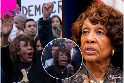 Maxine Waters Has Four-Minute Meltdown Shouting About How Much She Dislikes Trump, Musk