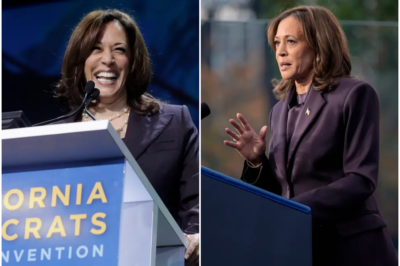 Kamala Harris has signed with a Hollywood talent agency months after her failed presidential bid