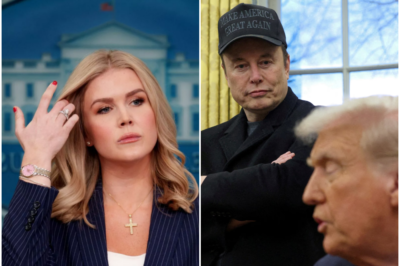 Karoline Leavitt details who is in charge – Elon Musk or Donald Trump?