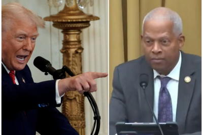 Dem Rep Asks Witness If US Marshals Could Haul Trump To Jail For ‘Contempt’