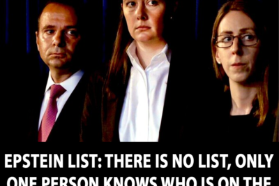 EPSTEIN LIST: THERE IS NO LIST, ONLY ONE PERSON KNOWS WHO IS ON THE SO-CALLED LIST!