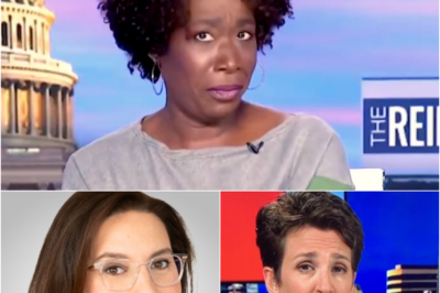 Rachel Maddow fidgeted and lost her cool when she realized she had put the new boss of MSNBC in a difficult position after exposing the dark side of the firing of Joy Reid and other non-white hosts.