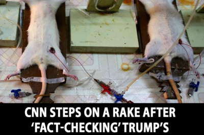 CNN Steps On A Rake After ‘Fact-Checking’ Trump’s ‘Transgender Mice’ Funding Claim