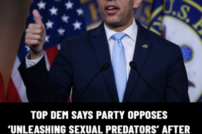 Top Dem Says Party Opposes ‘Unleashing Sexual Predators’ After Throwing Southern Border Wide Open