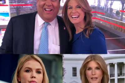 The real reason veteran MSNBC host Nicolle Wallace is preparing to end her career in despair, biggest surprise finally confirmed