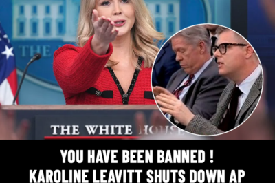 Karoline Leavitt shuts down AP reporter after ‘insulting’ question on tariffs