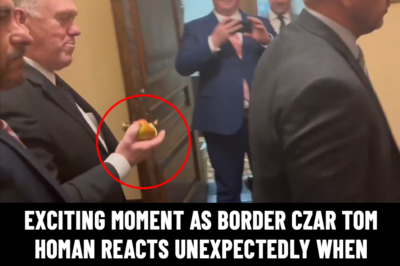 Exciting moment as border czar Tom Homan reacts unexpectedly when protesters shout in his face at the State Capitol