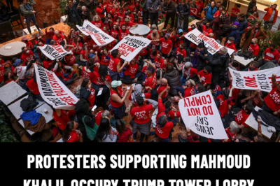 Protesters supporting Mahmoud Khalil occupy Trump Tower lobby